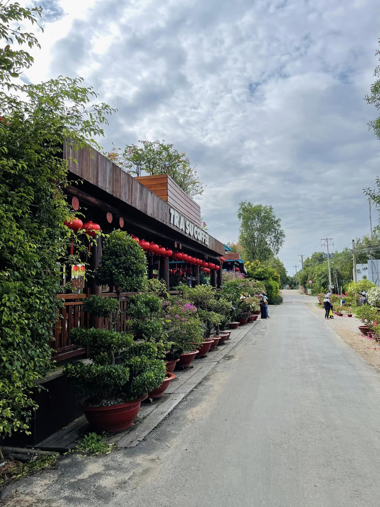 Dịch vụ cho thuê ô tô giá rẻ tại Cần Thơ